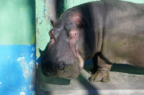 冬期営業開始！おびひろ動物園