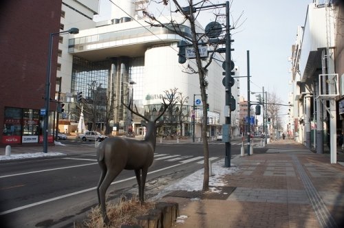 帯広市内、ただいま積雪０（ゼロ）