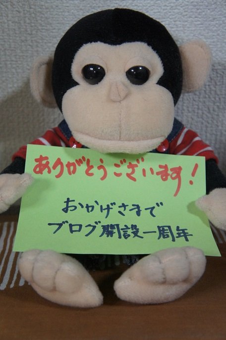 おかげさまで、ブログ開設１周年！！