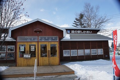 えッ！？冬眠中？（道の駅しかおいさんで）