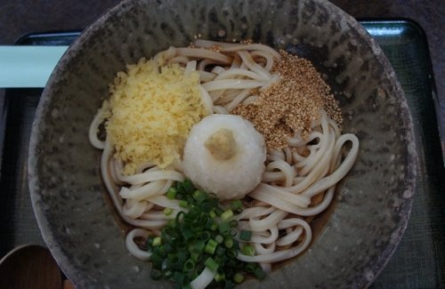 たまにはうどんも…手打うどん 福家さんのぶっかけ