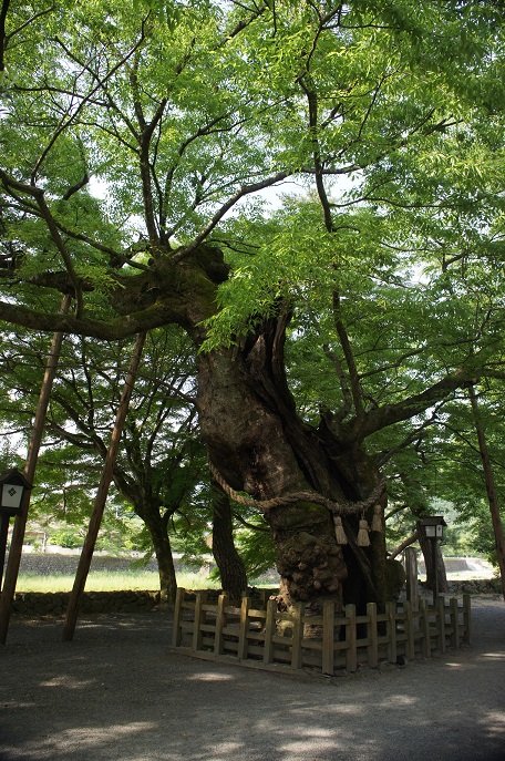 山陰・山陽の旅(補足編その3・津和野~萩)