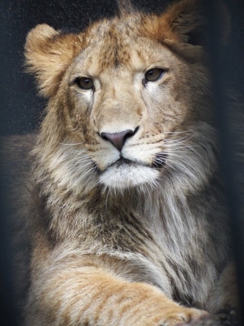 久しぶりに良い天気～♪おびひろ動物園