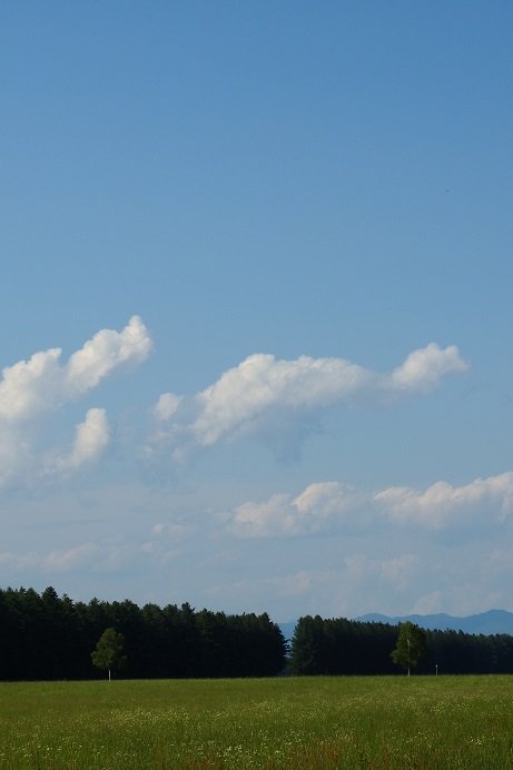 音更駒場・牧場周辺のようす