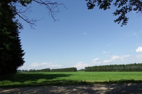 ある日の十勝・夏