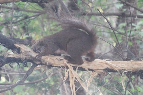 キミ、何やってんの？