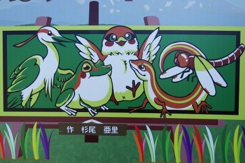 東鷹栖の田んぼアート～♪