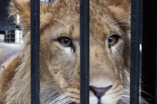 おびひろ動物園…ヤマトＯＮＬＹ