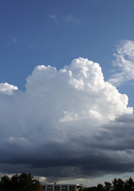 今夏一番の積乱雲！？