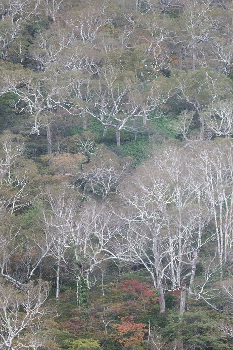 帰り途…日勝峠