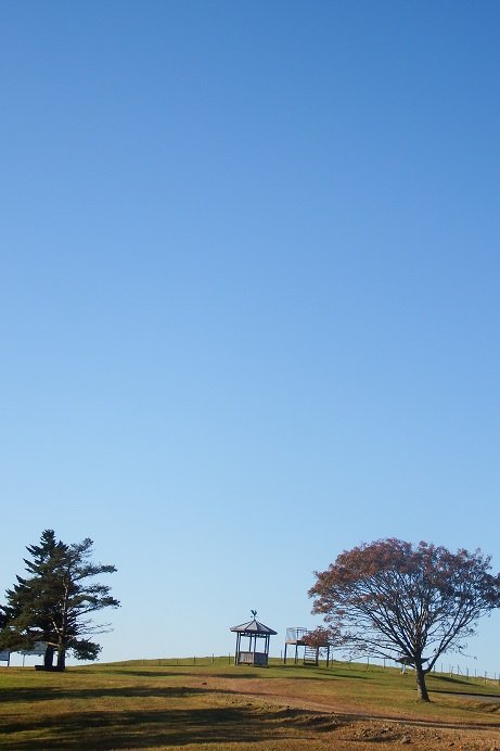 十勝晴れの朝～♪　音更駒場の牧場