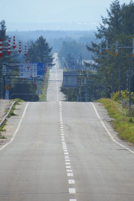 キノコ採りの途中で…十勝の風景あちこち