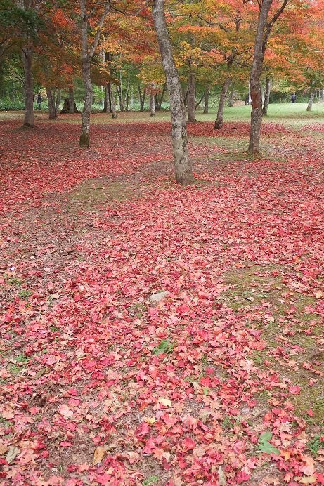 行ってきました！福原山荘～♪