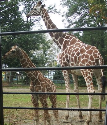 おびひろ動物園へ～♪