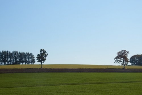 あてのない散策（以平～愛国）