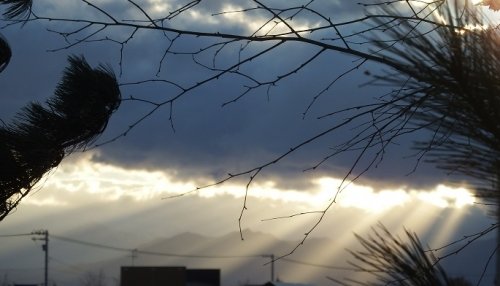 レンブラント光線！？