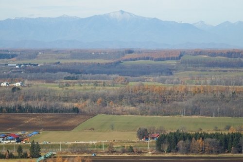 忠類のシーニックカフェへ
