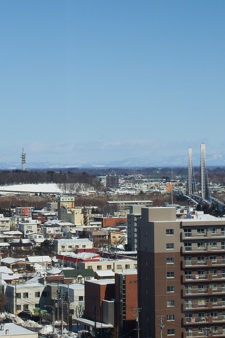 帯広市役所展望ホールからの眺め