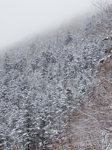 １週間前は…こんなでしたのに…