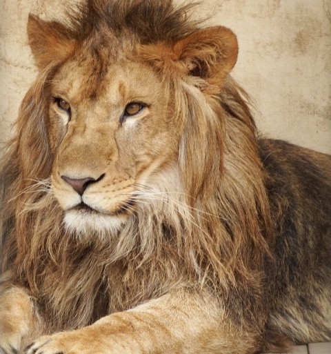 行ってきました!　おびひろ動物園