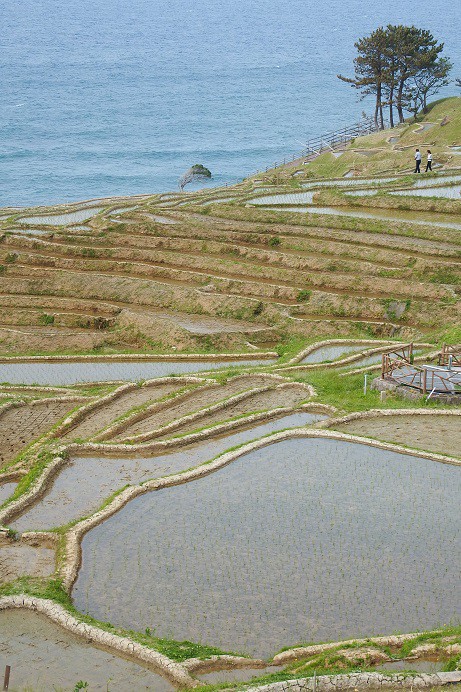信越・北陸の旅 その3 能登半島めぐり