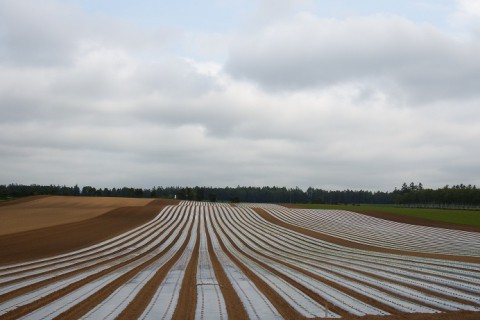 空港周辺の風景