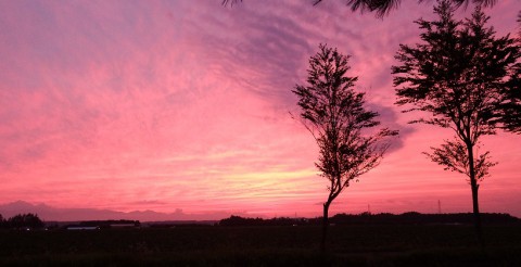 赤と白の世界～競演