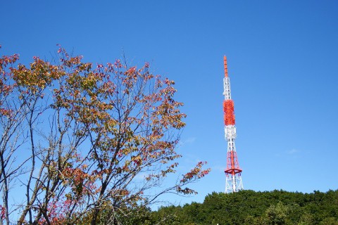 十勝が丘展望台にも秋の気配が…