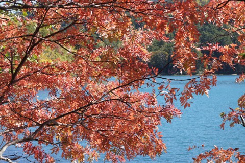 オンネトーの紅葉(足寄町)