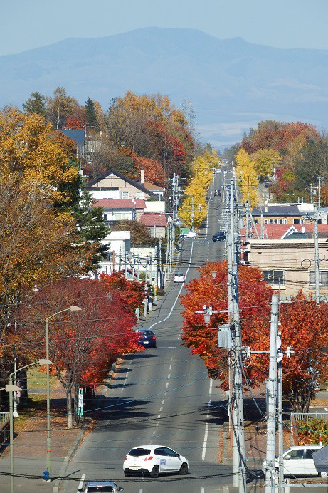音更方面の紅(黄)葉いろいろ