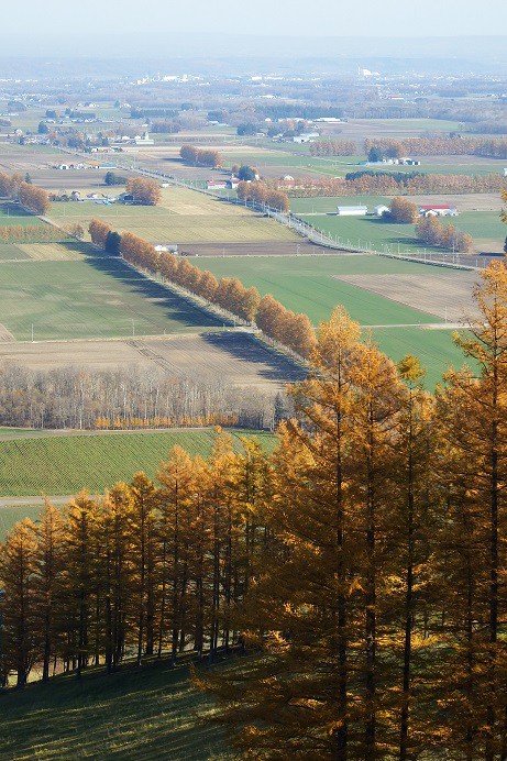 晩秋の十勝～新嵐山展望台から