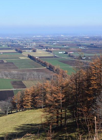 再度、新嵐山展望台から