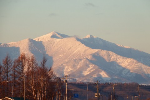 ウチの(?)エゾリーくん。