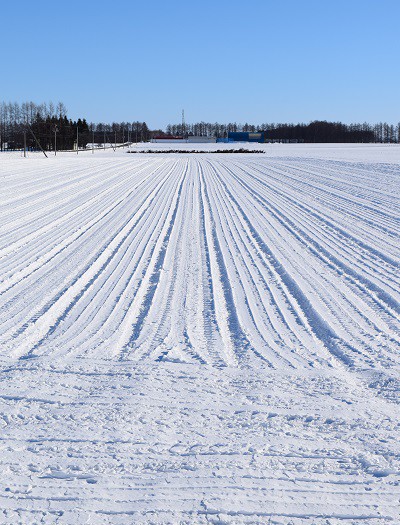 十勝の冬景色から～♪