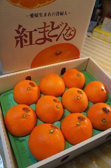 今年もキタ～ッ!　愛媛の紅まどんな～♪