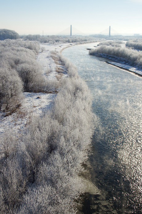 謹賀新麺~♪ 霧氷?or樹霜?