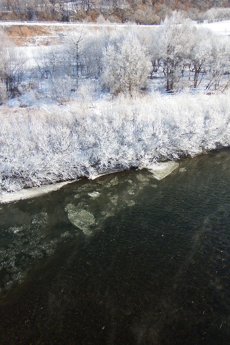 続・霧氷? or 樹霜?