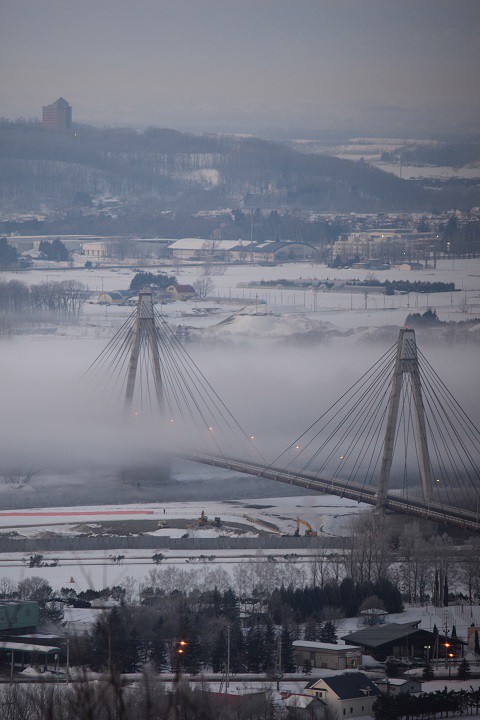 これが雲龍なのか!?今季最大規模～♪
