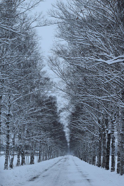 あ～ぁ、冬に戻っちゃった!