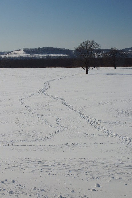 豊頃町に行ってきました～♪