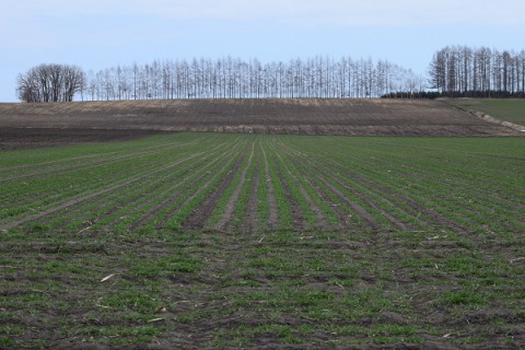 道の駅なかさつないに行ってきました～♪