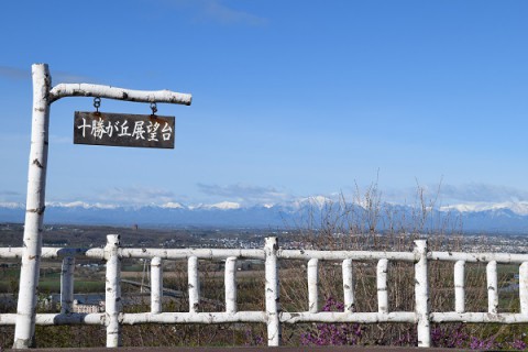 十勝が丘展望台から