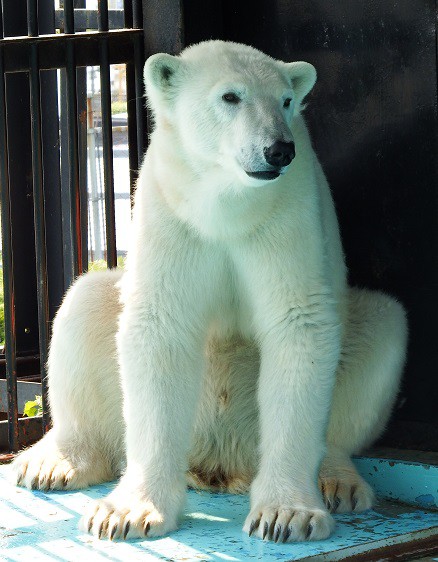 今年度初のおびひろ動物園～♪