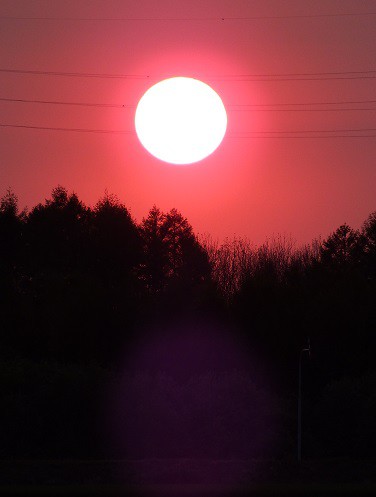 月見で一杯…!?