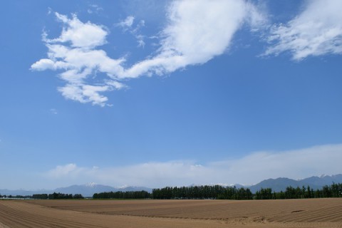 カメラスケッチ(芽室町)