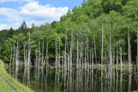 浦幌の青い池!?