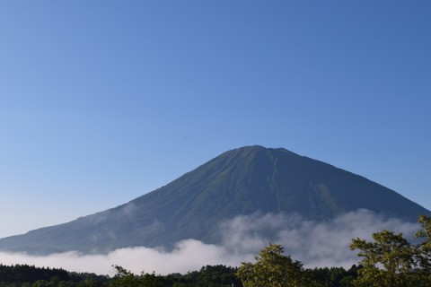 雲海に浮かぶ羊蹄山