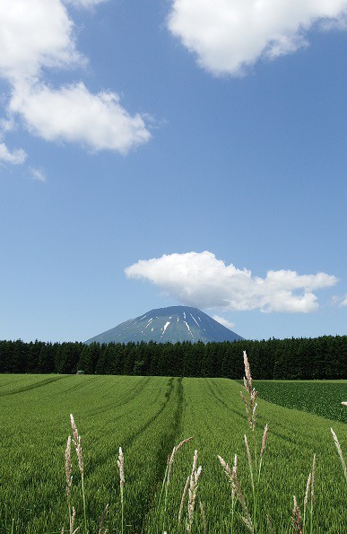 道内全市町村の麺食制覇まであと5市町!