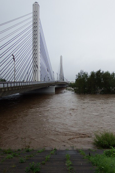 台風10号による十勝川の増水状況