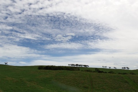 シーニックカフェちゅうるいに行ってきました～♪